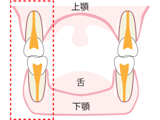 正面から見た図